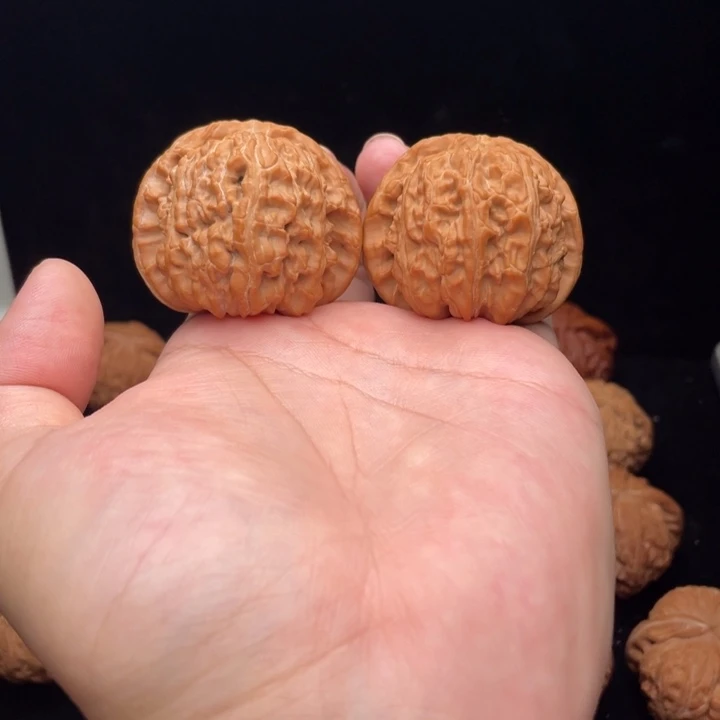 把件文玩核桃42白狮子