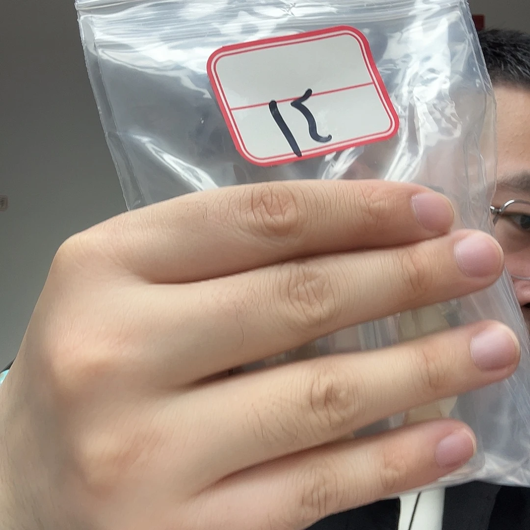 橄榄核手串/手链工艺品31