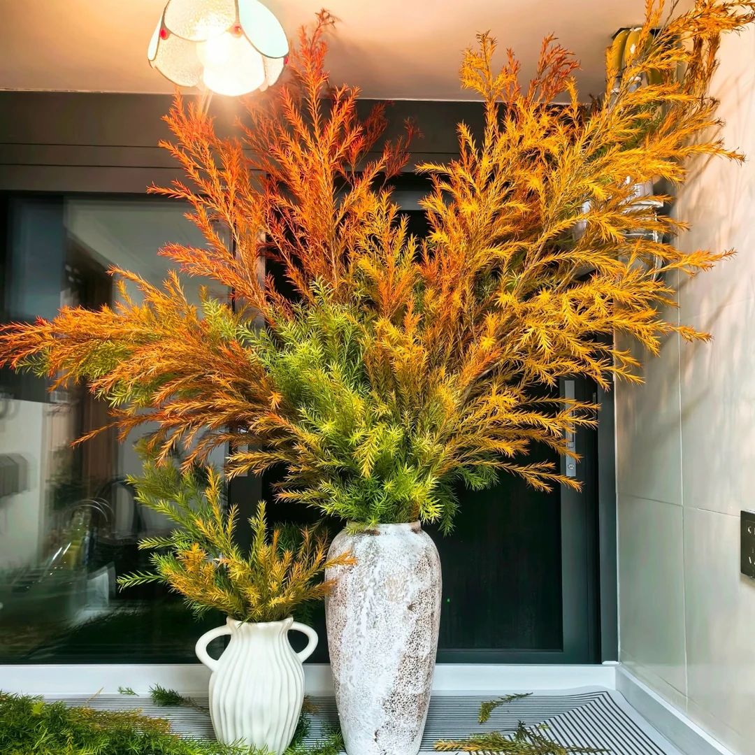 【千层金】黄金香柳室内鲜切花花期超长可做干花
