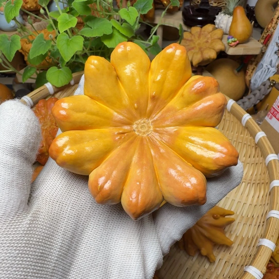 c****如特价葫芦不退不换