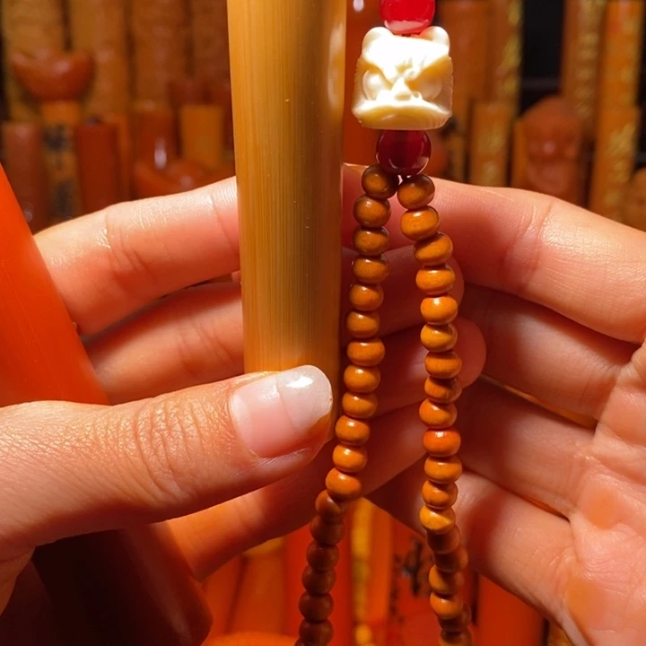 竹宠新朋友放漏大大大