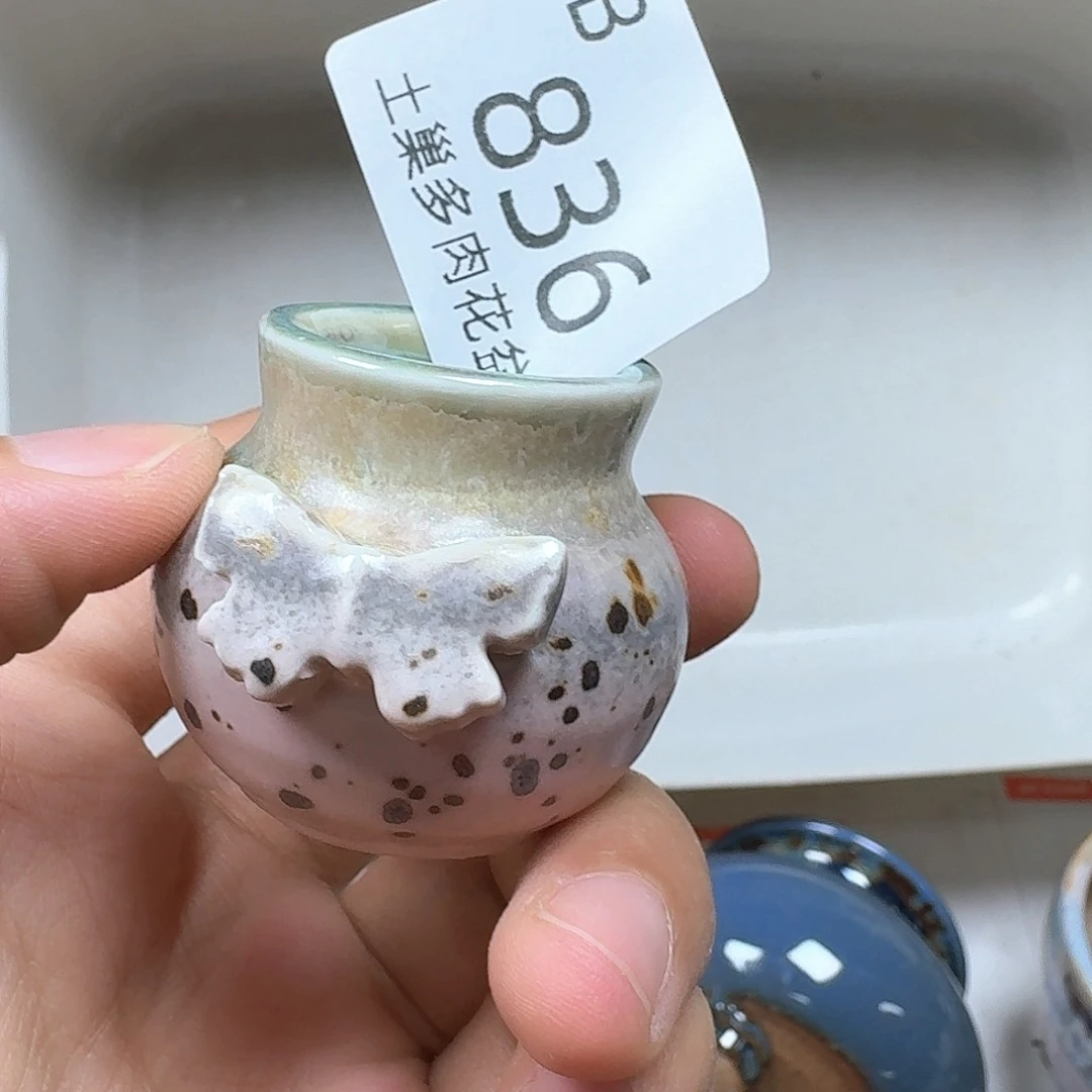 陶瓷工艺与艺术设计