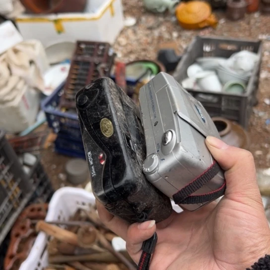 梓***音核桃木/黑胡桃（胡桃木）