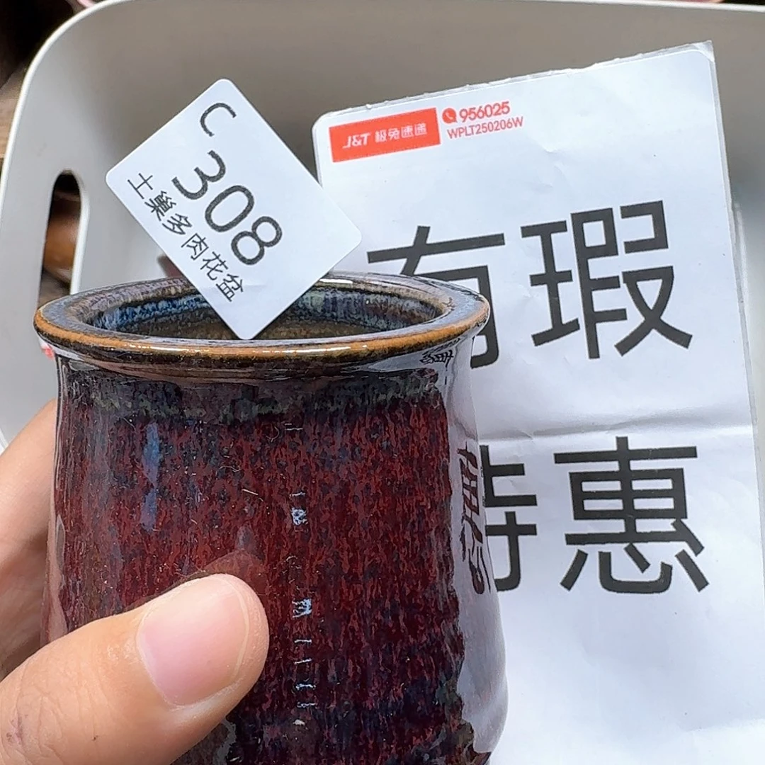 陶瓷工艺与艺术设计