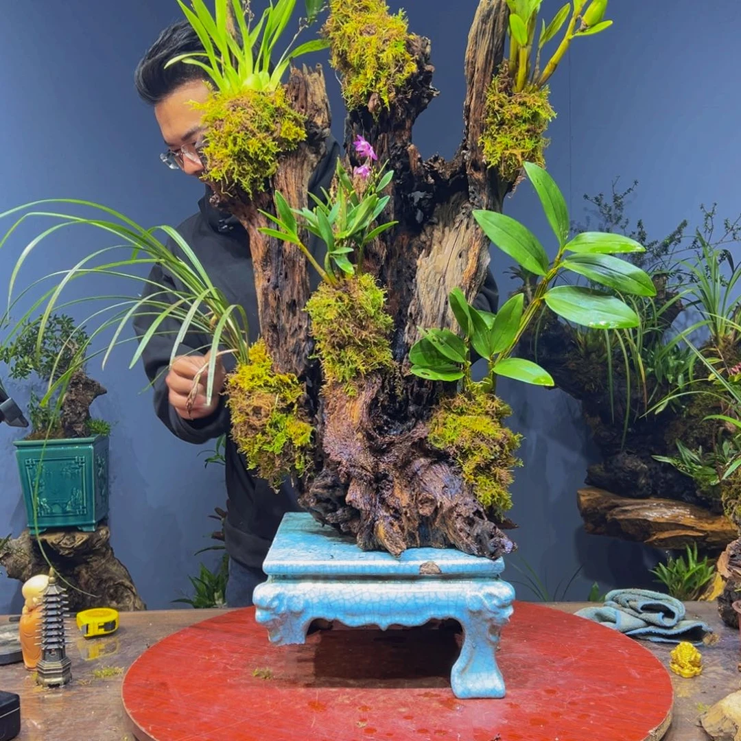 3***e完全开放1111111111111