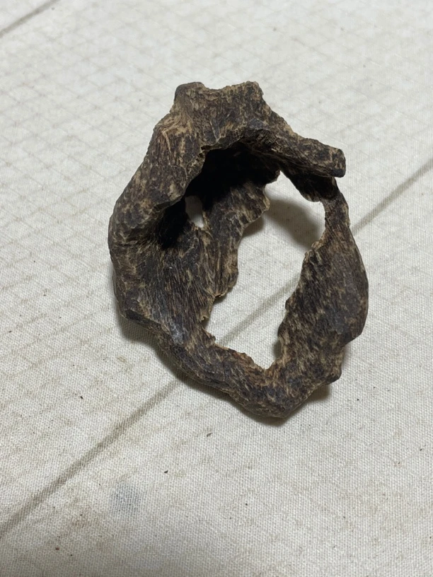 沉香虫漏圈油4克，尖峰古树料，结实沉水，花蜜香甜凉。