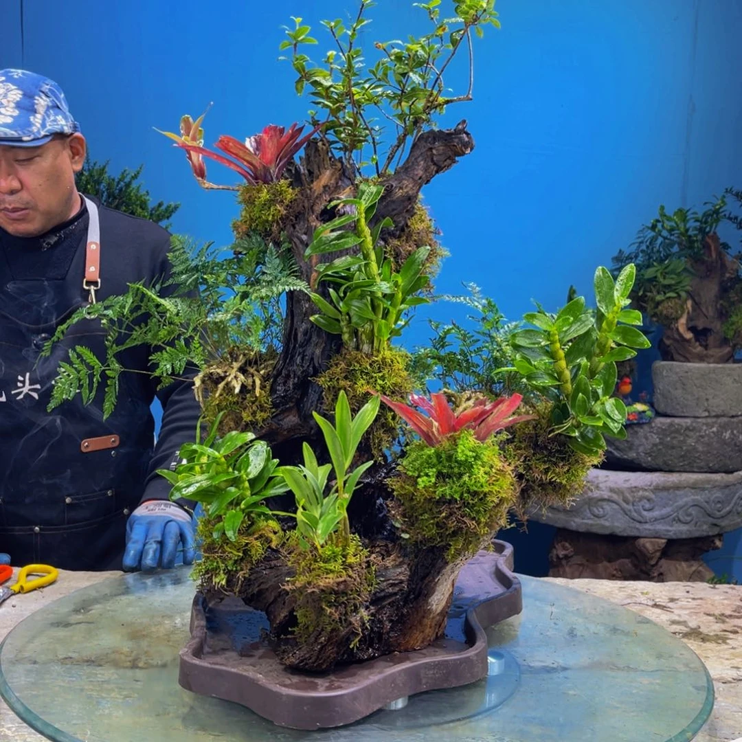 千***恋完全开放11111111111111