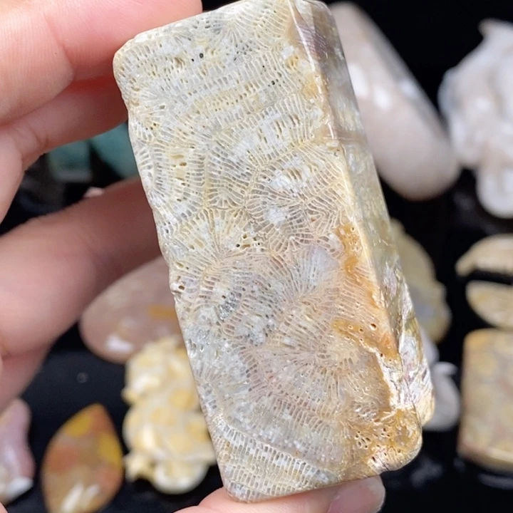 未镶嵌手镯（圆镯）硅化玉