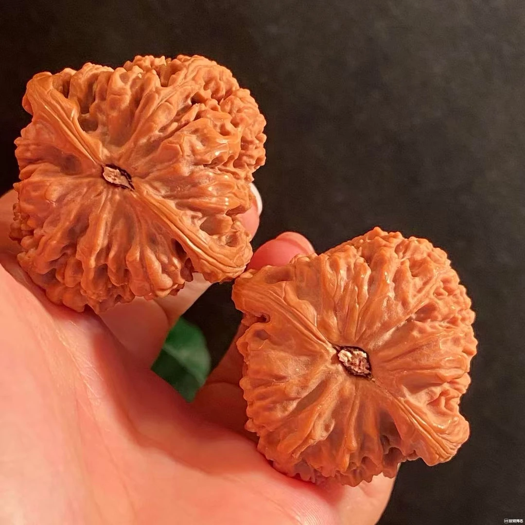 白狮子四座楼南疆石等