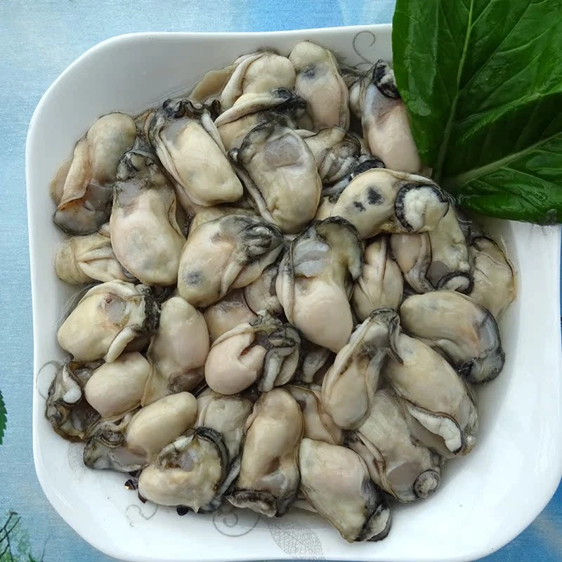 海蛎--顺丰发货/保鲜不保活