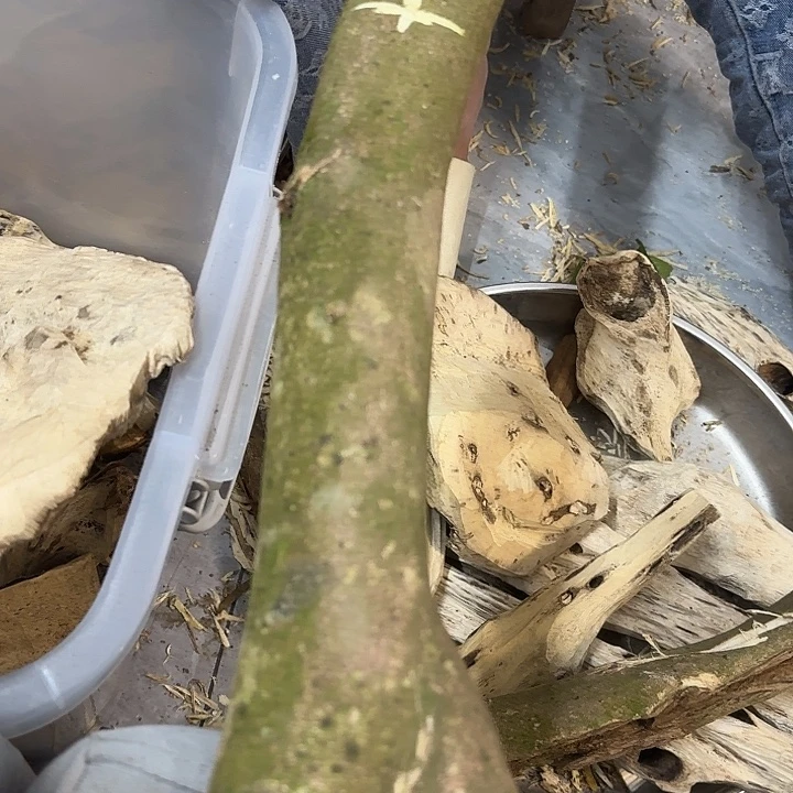 沉香碎屑沉香沉香料子