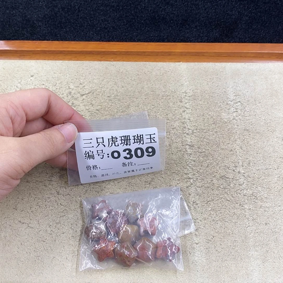 硅化珊瑚（珊瑚玉）1未镶嵌逐*?