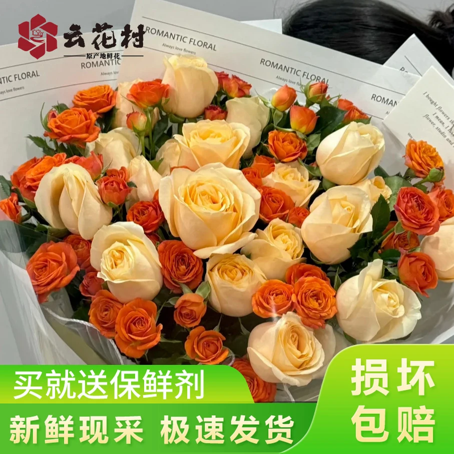 【教师节超值鲜花套餐】香槟玫瑰橙色芭比【全店任意2件发顺丰京东】