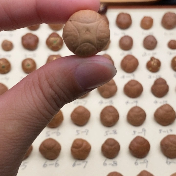 凤眼菩提手串麒麟