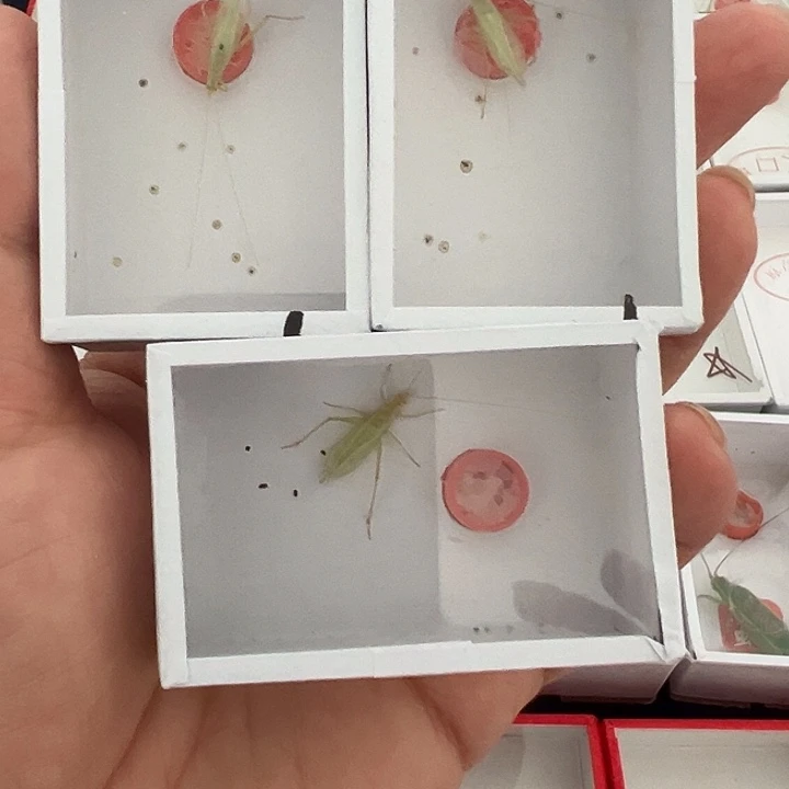 哈哈哈哈哈哈哈哈哈