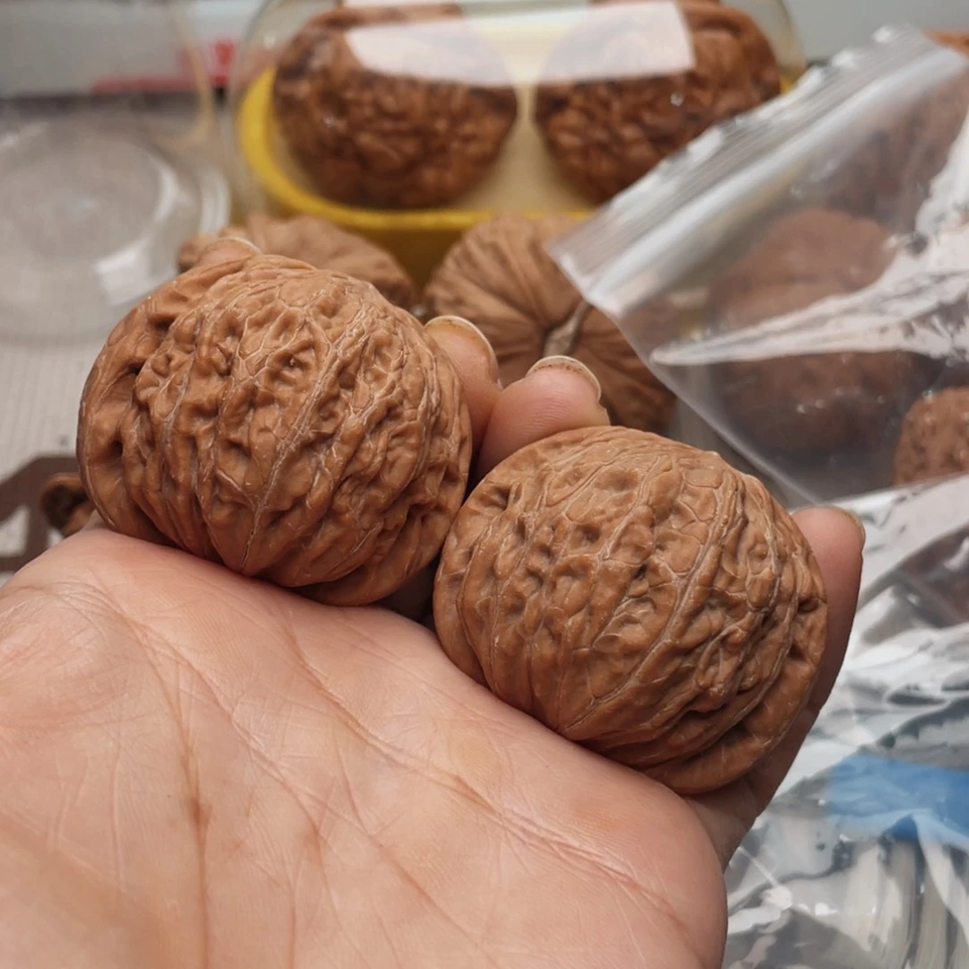 动*41铁锤子打爆小