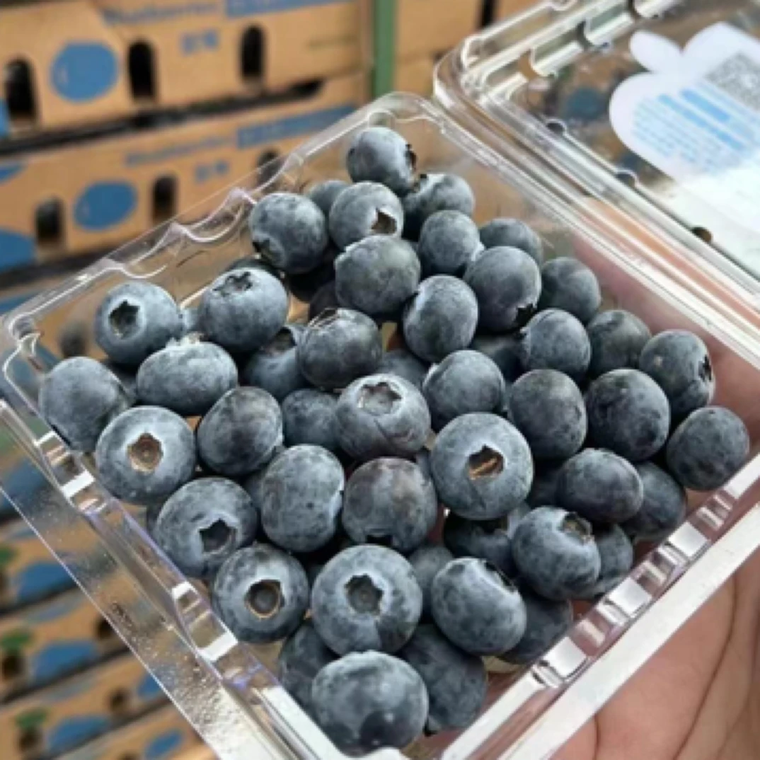 【整果125克】云南L25蓝莓18mm，脆甜口感带花香云南省