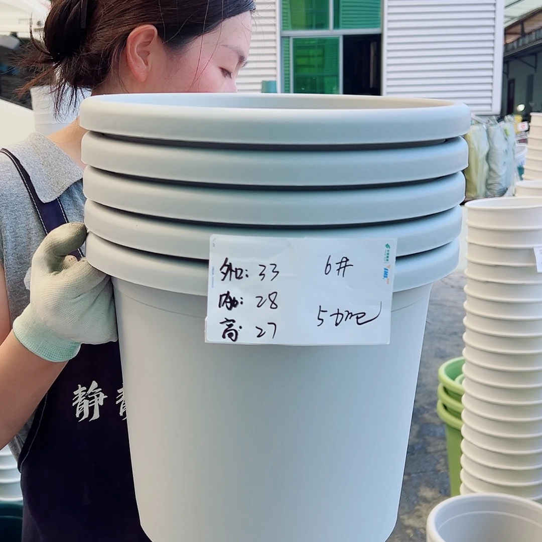 四季盆6#灰白5个无托