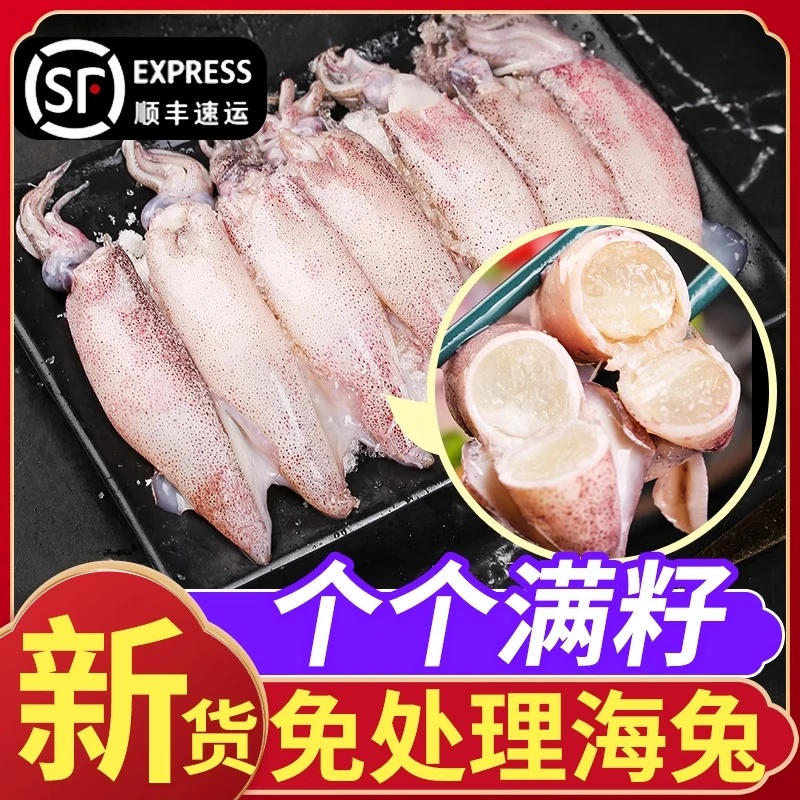 2.7斤满籽海兔 活煮熟冻 半熟发货 全部带膏带籽
