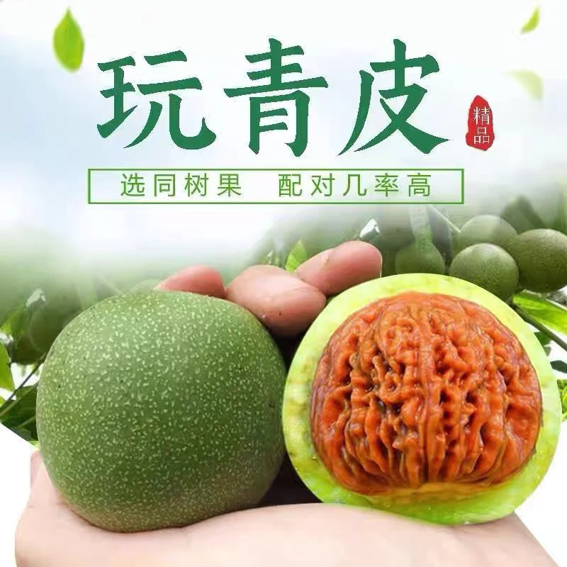 现摘现发四座楼狮子头青皮发货开皮后不退不换8到10个