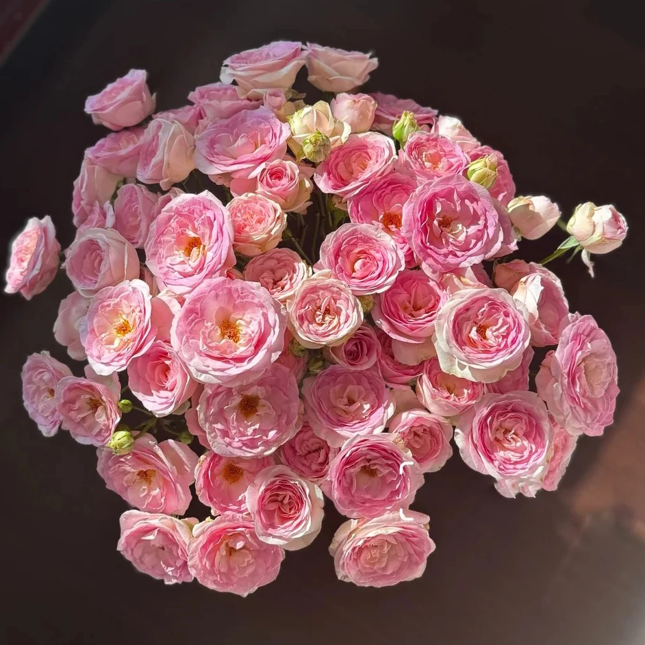 【缤纷24-796】高品质鲜花优选