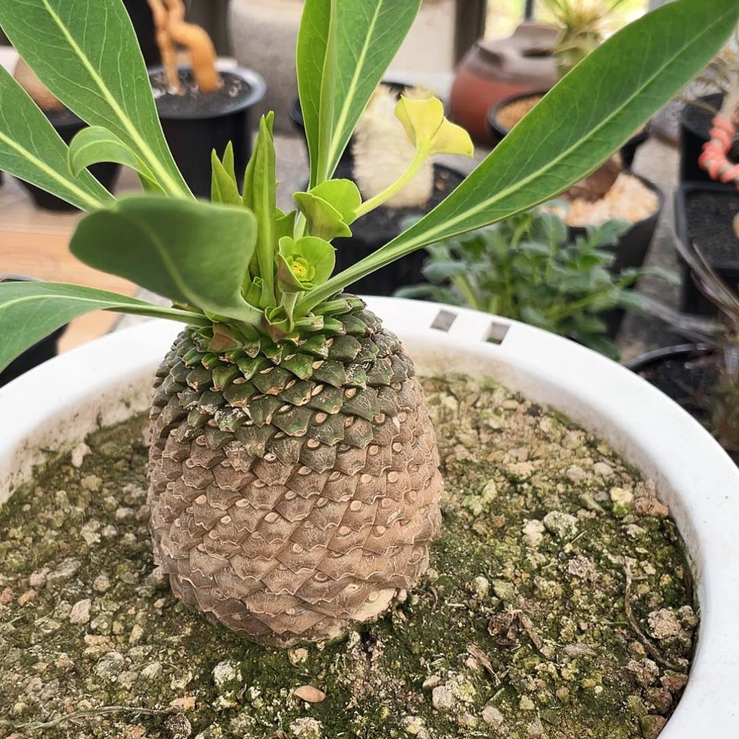 品**生66666666666666666666