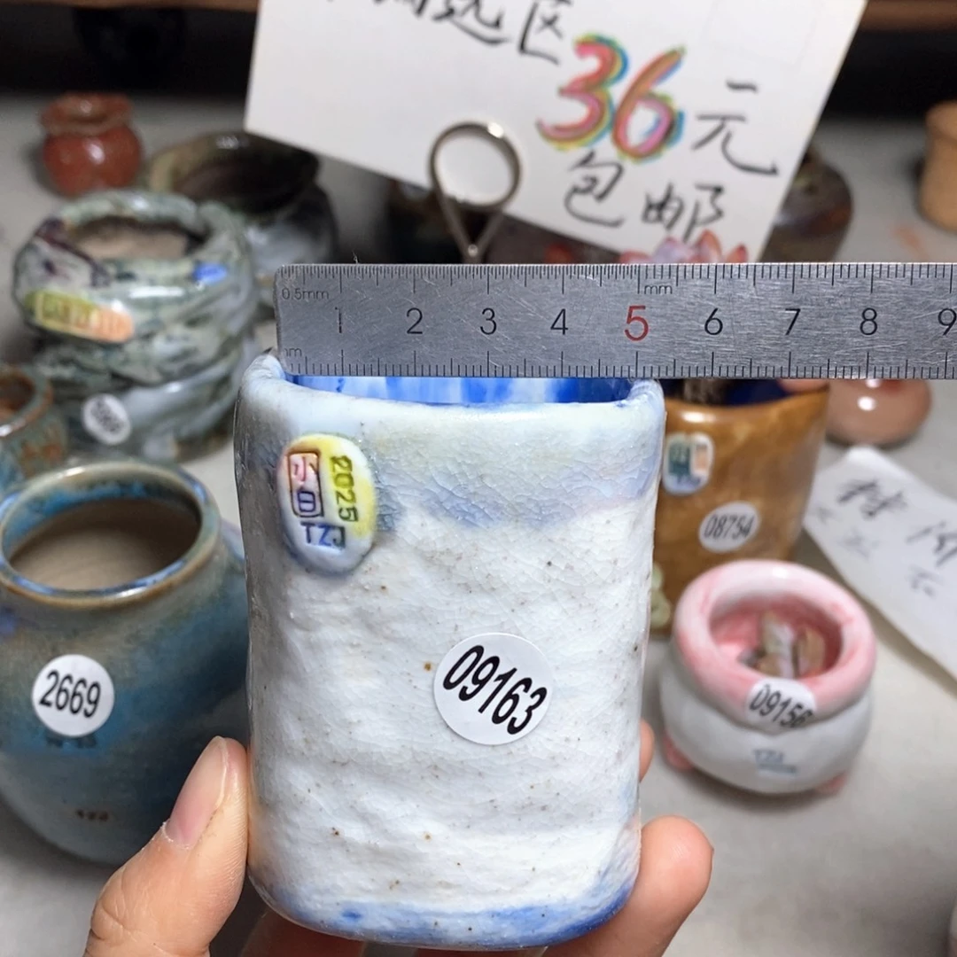 花盆双十二活动不退不换的原68元一个
