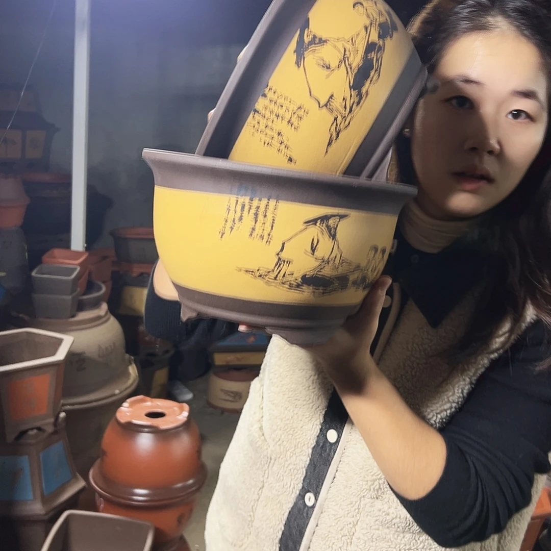 25+25黄色孔夫子三角金钟