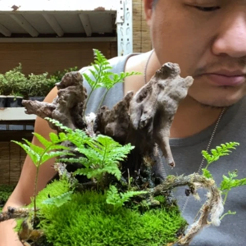 红陶杨*喵一物一拍所见即所得288