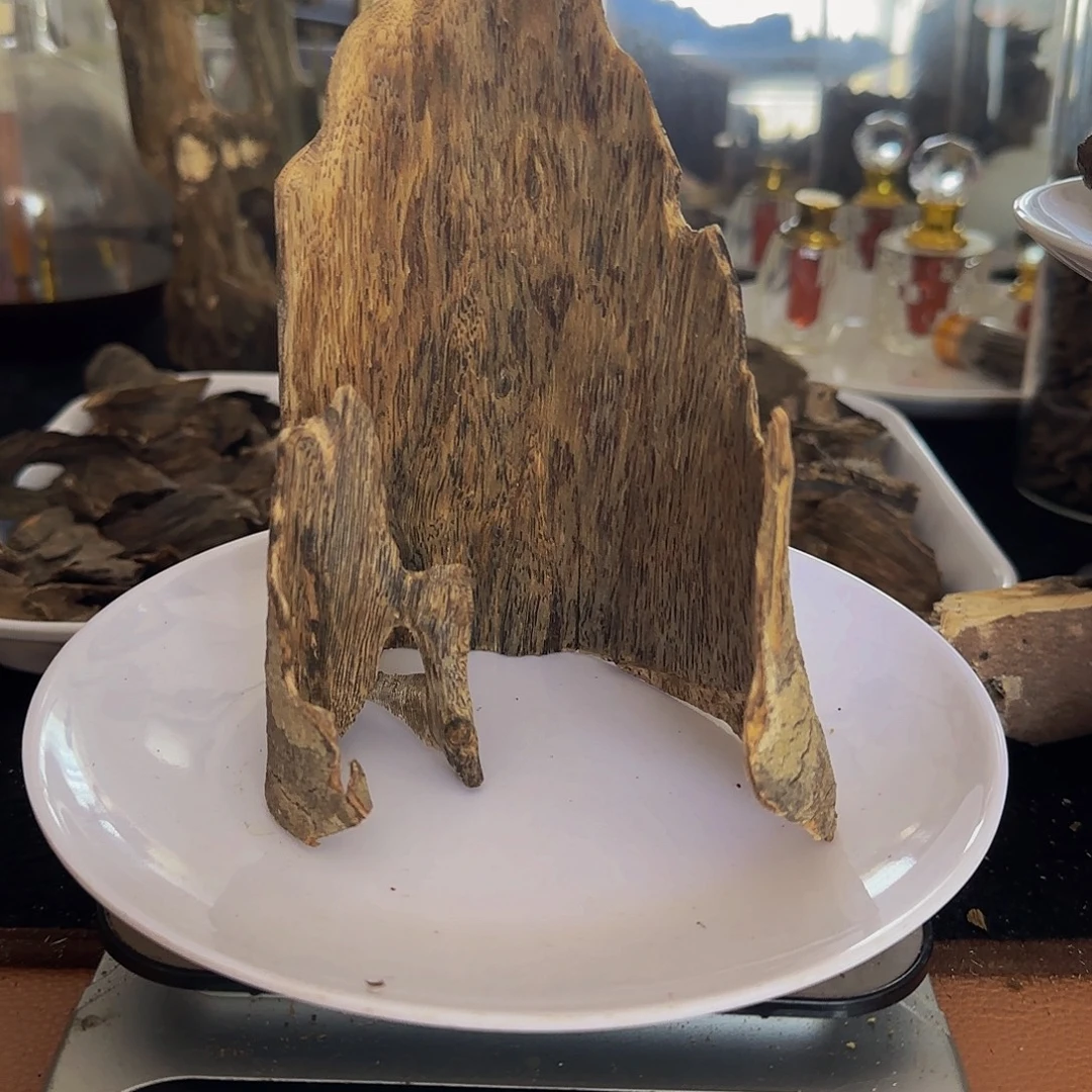 沉香碎屑沉香精品老乌身皮油带虎斑56.3克