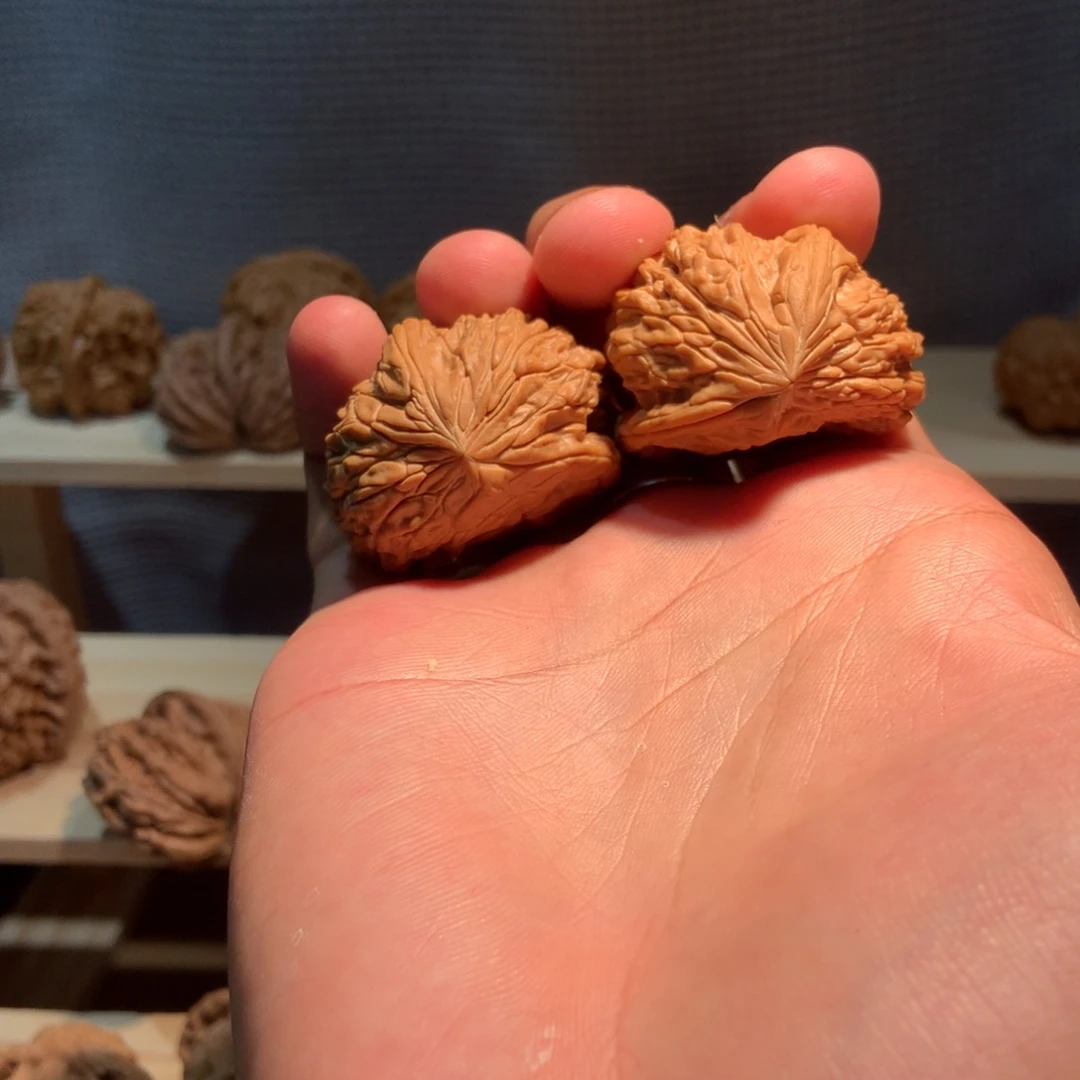 大***博暴雪半壁全品无修