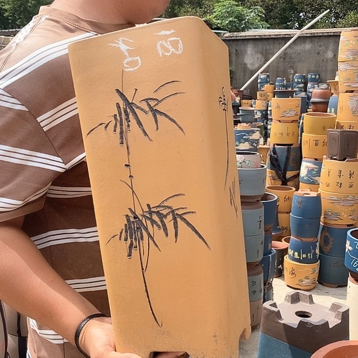 紫砂花盆盆栽植物观赏植物