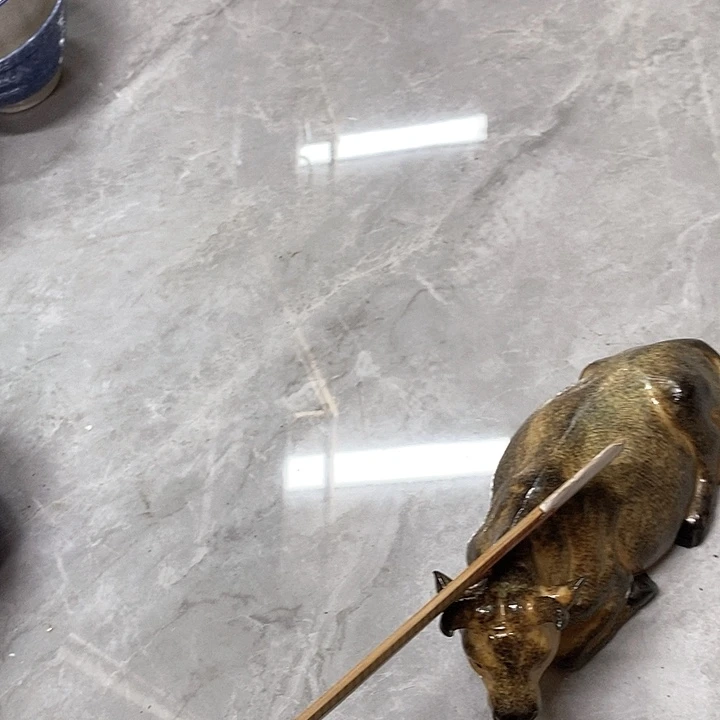 瓷片安**在啊啊啊啊啊啊啊你好吗