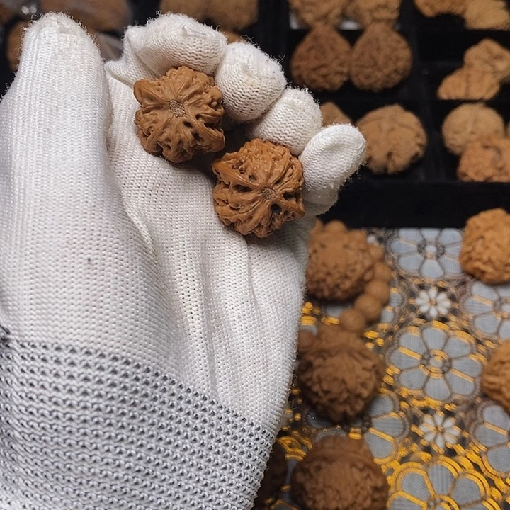 文玩核桃把件西*蛇秦岭秦闷