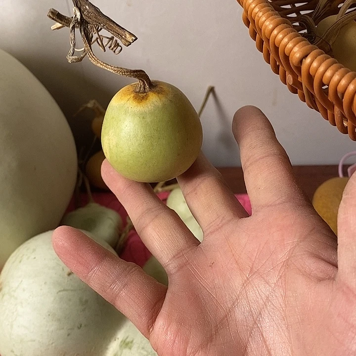 雾***i青皮腰子葫芦手把件
