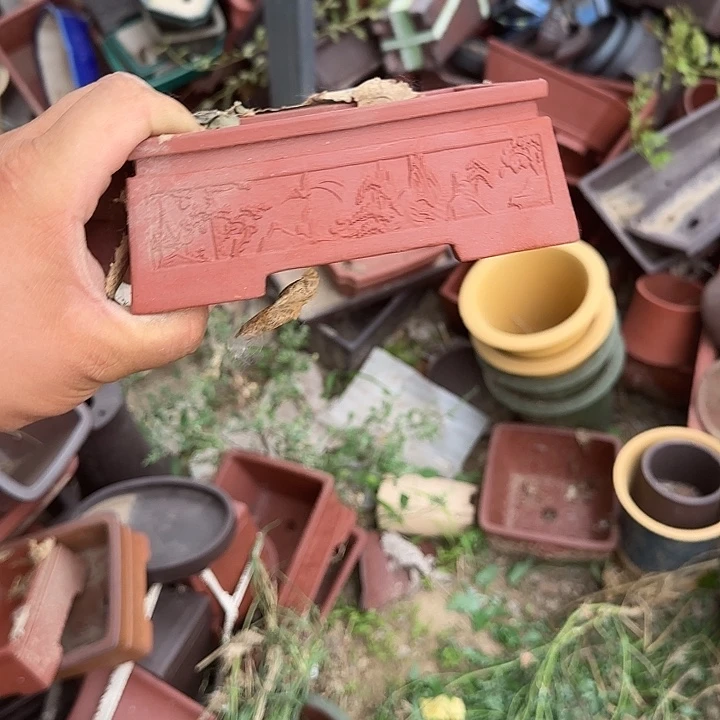 不去看书啊哈是真的