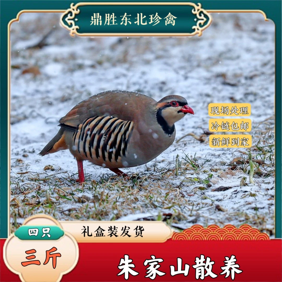 东北朱家山散养现宰现杀飞龙鸟四只三斤肉质新鲜香煲汤美味