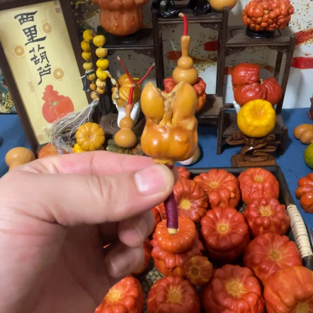 小*子556655555856665555555588