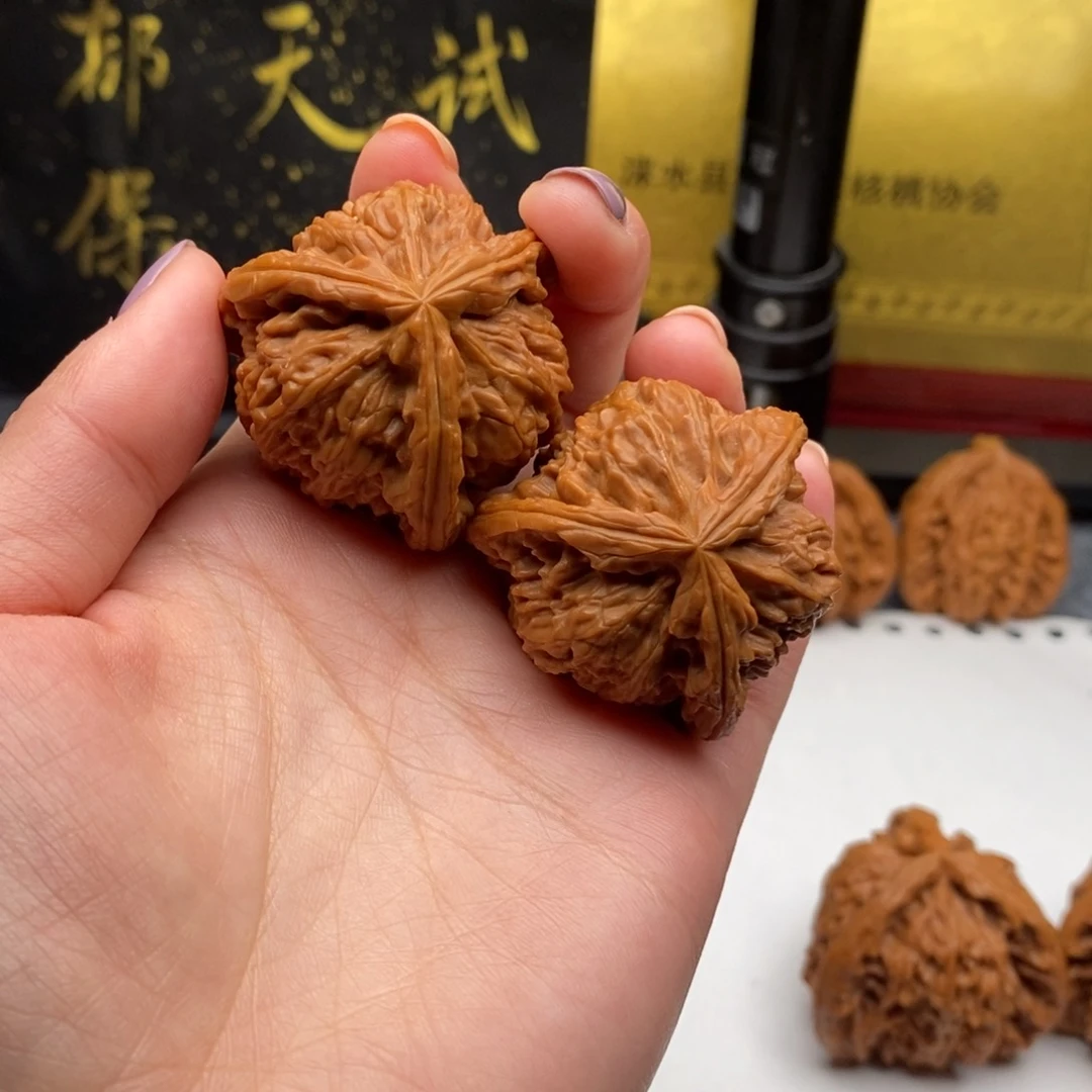维*白狮子11111个行政