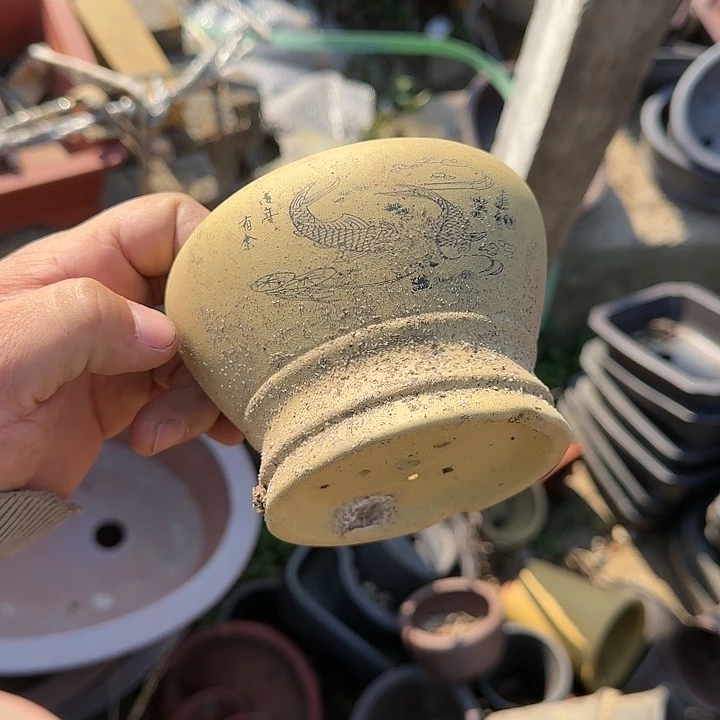 你说是谁就让我们等的你呢亲爱勒