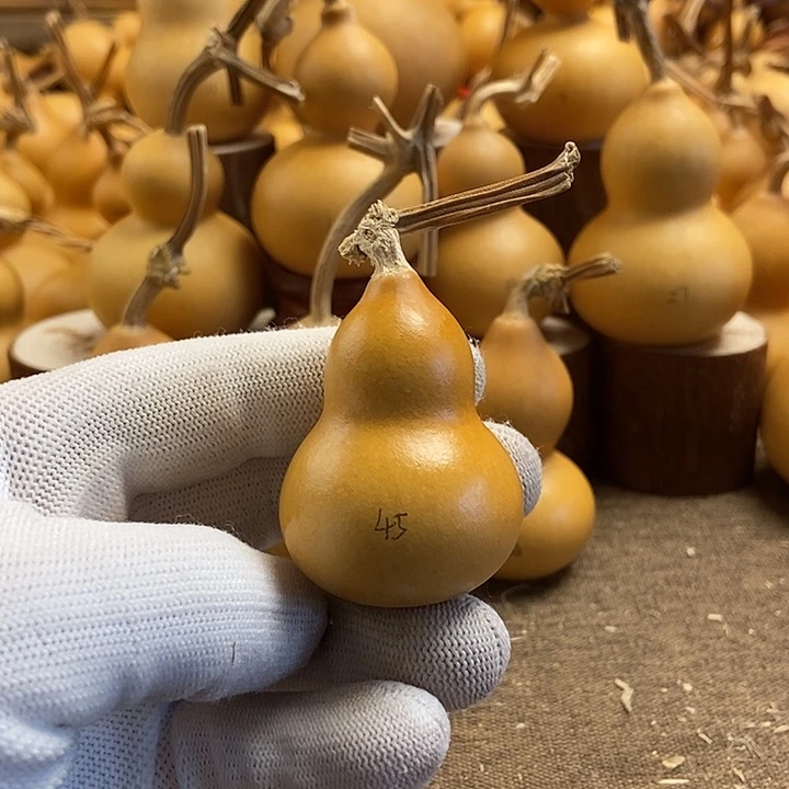 文玩葫芦 完美主义者 慎拍45