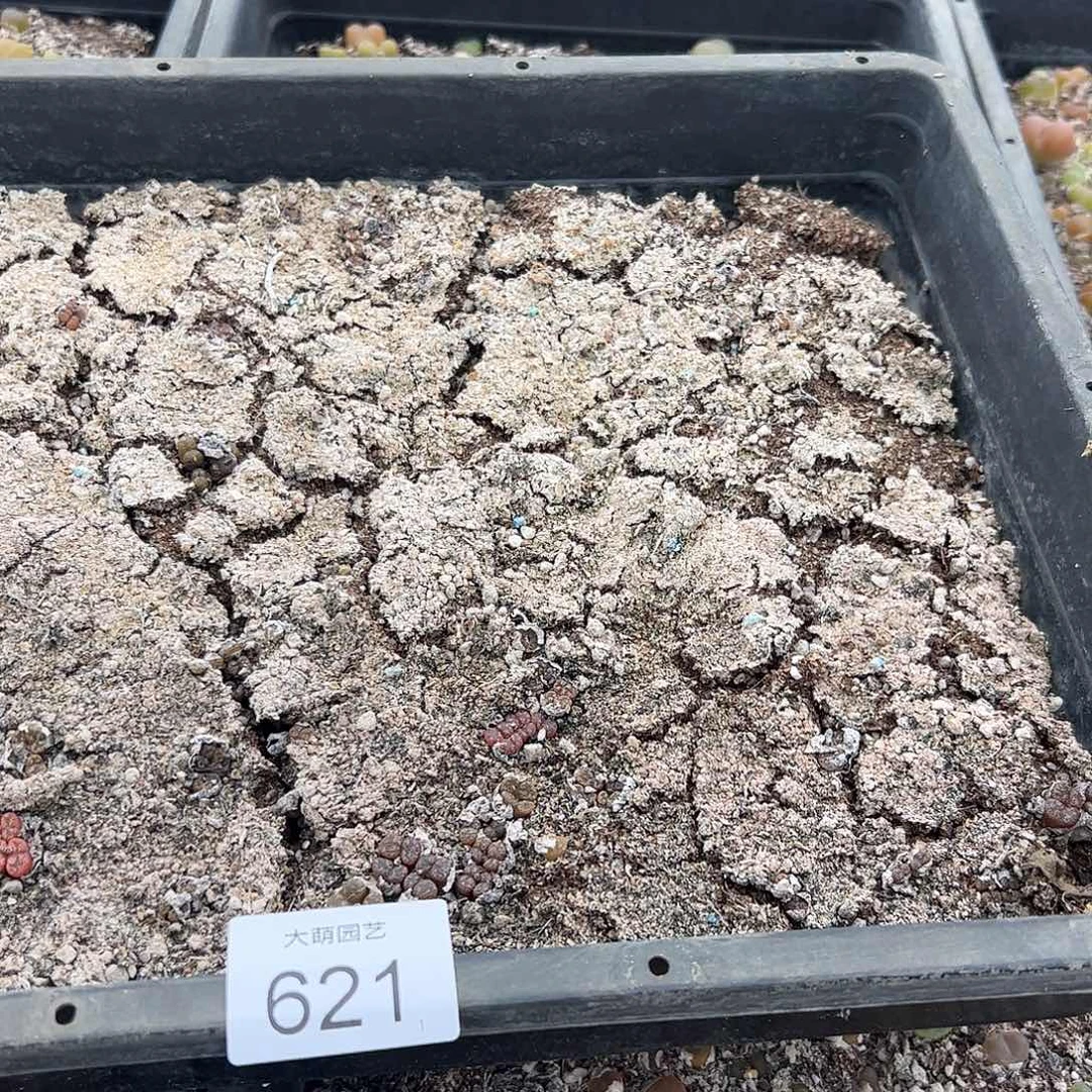 清框脱土发无售后621