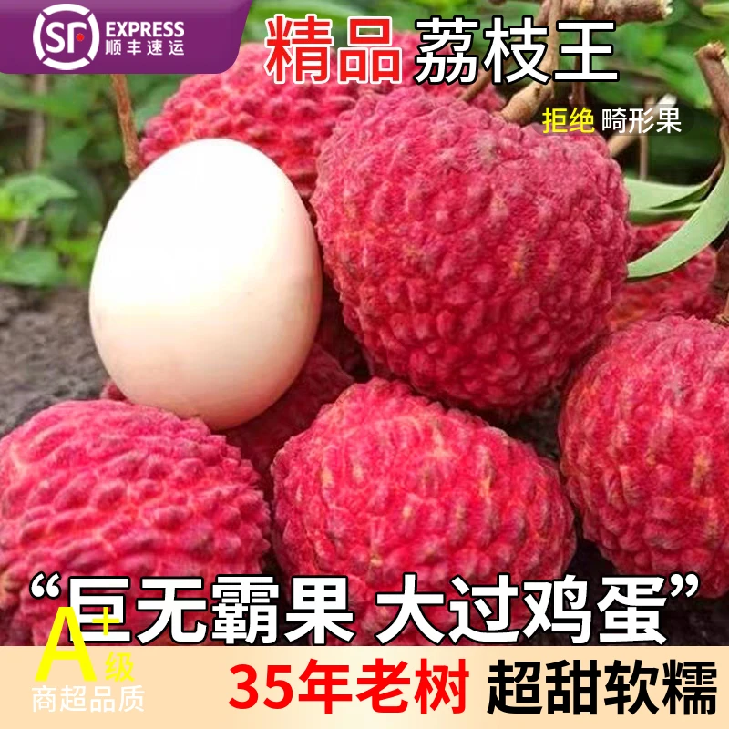 【直播专属10 斤】海南火山口荔枝王当季新鲜水果现摘现发顺丰空运