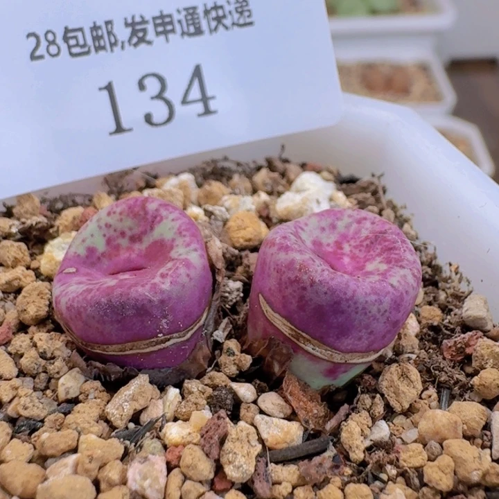 134。