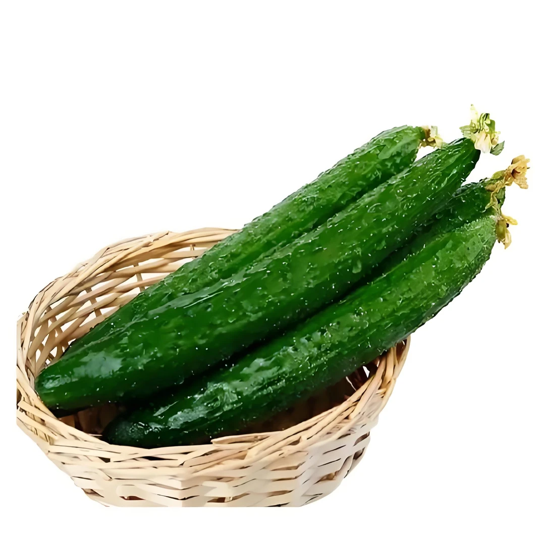 黄瓜一颗(0.8斤~0.9斤/颗)