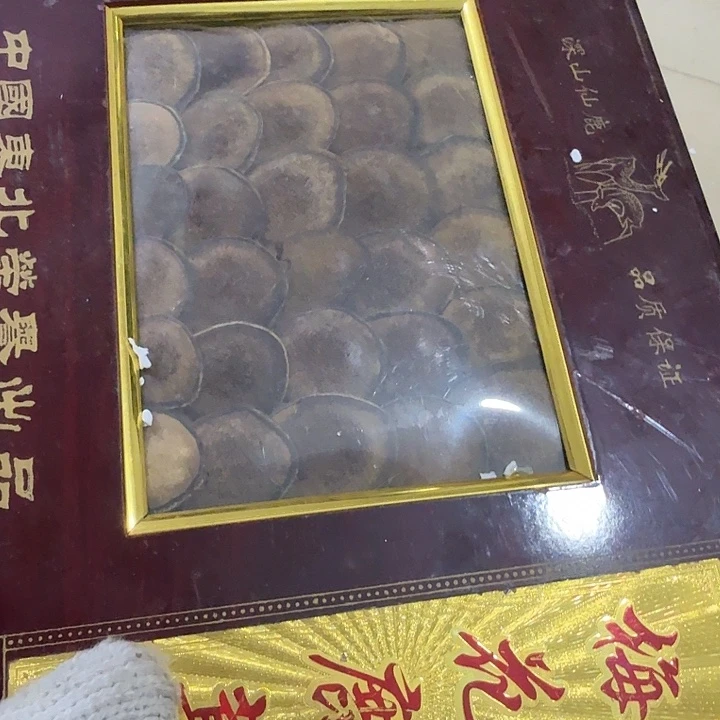 心***海扇子吃g个恍恍惚惚哈哈哈哈哈哈