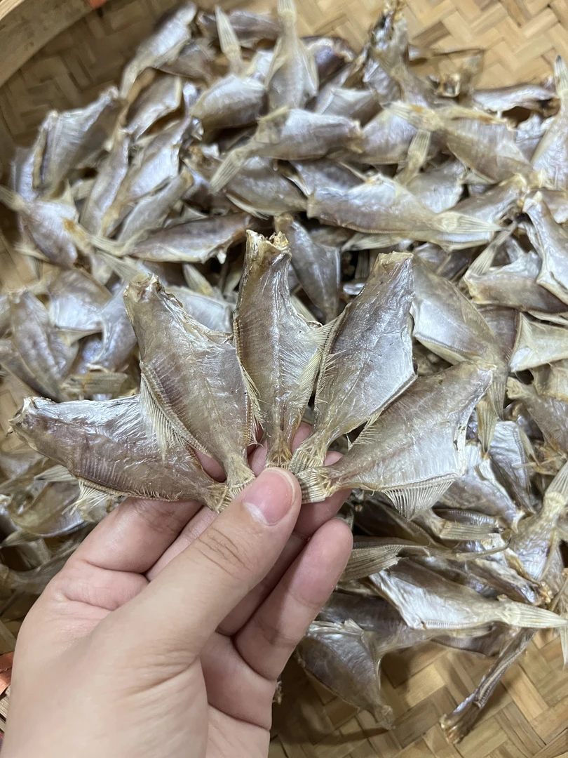 创记 汕尾本港精选海产迪仔鱼扒皮鱼干中号