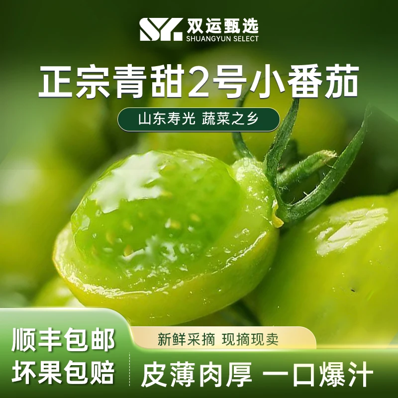 青甜2号绿宝石小番茄新鲜现摘皮薄多汁香甜爆汁水果与辉同款