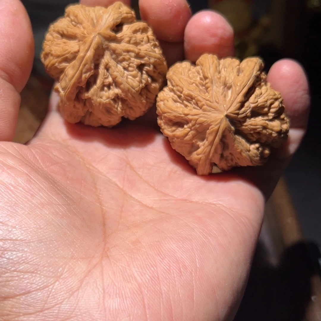 瑞麟文玩核桃大粗筋