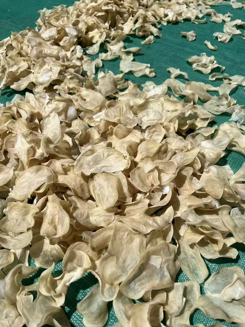 云南会泽火红特产现挖洋芋农家自然晾晒干洋芋片土豆片新货上市